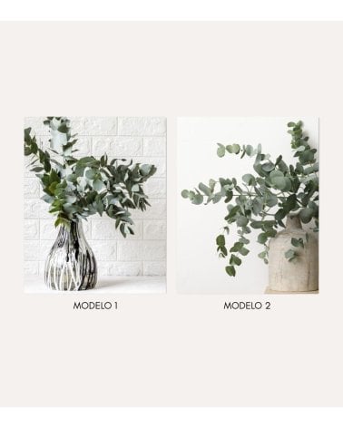 Cuadro Impreso Jarrón de Eucalipto de Lienzo