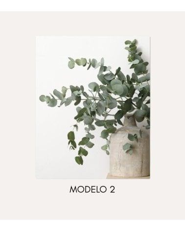 Cuadro Impreso Jarrón de Eucalipto de Lienzo