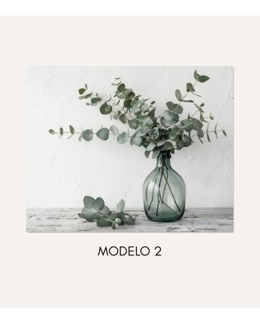 Cuadro Impreso Eucalipto Horizontal de Lienzo