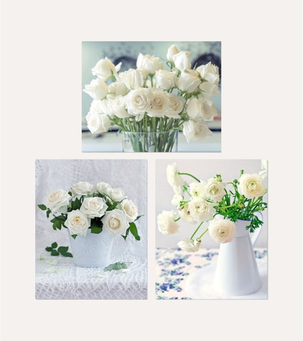 Cuadro Impreso Rosas Blancas de Lienzo