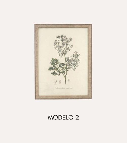 Cuadro Lienzo de Flor Antigua de Madera