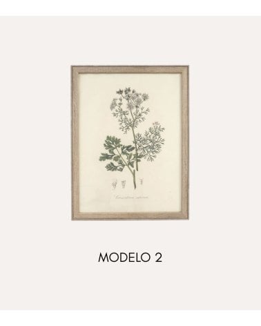 Cuadro Lienzo de Flor Antigua de Madera