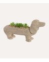 Figura Decorativa Perro Salchicha con Planta de Resina