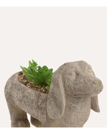 Figura Decorativa Perro Salchicha con Planta de Resina