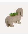 Figura Decorativa Perro Salchicha con Planta de Resina
