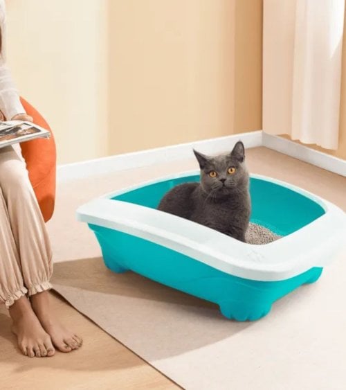 Areneno para Gatos de Plástico