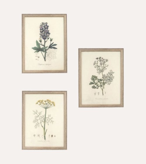 Cuadro Lienzo de Flor Antigua de Madera