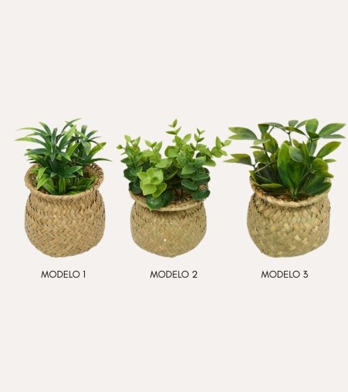 Planta Decorativa Jill en Maceta Tejida