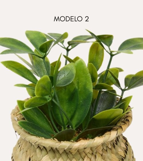 Planta Decorativa Jill en Maceta Tejida