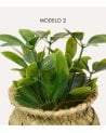 Planta Decorativa Jill en Maceta Tejida