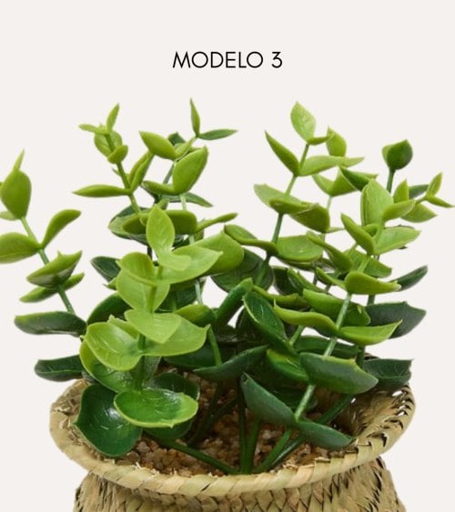 Planta Decorativa Jill en Maceta Tejida