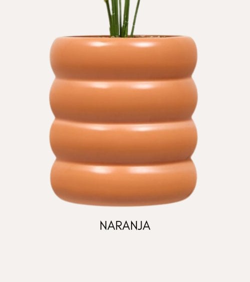 Planta Decorativa Strelitzia en Maceta de Dolomita