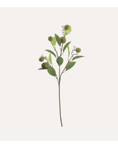 Rama de Lima Decorativa de Plástico