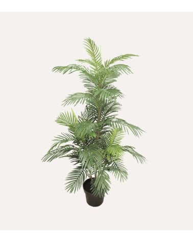 Planta Decorativa Palma Baja Areca de Plástico