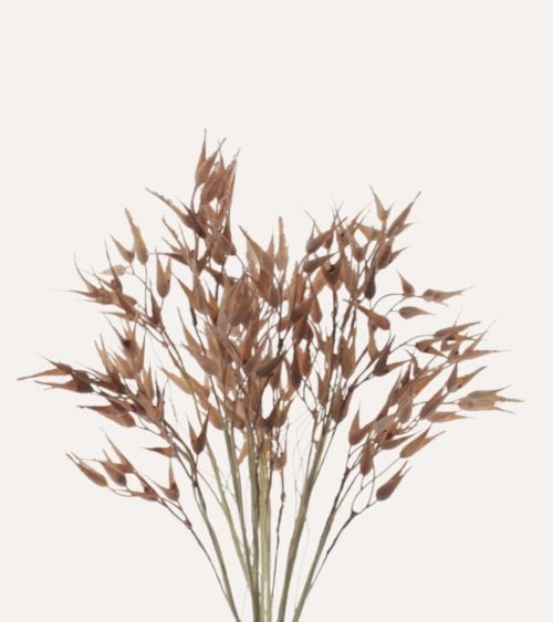 Rama Decorativa Heuchera de Plástico