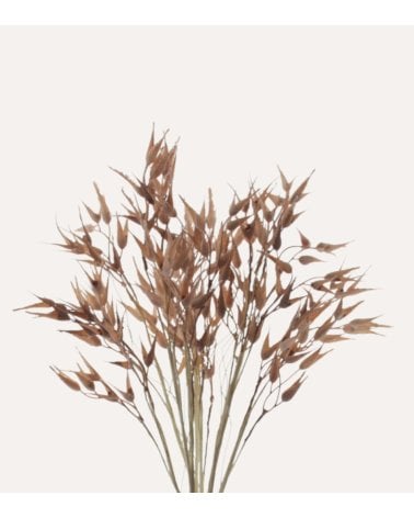 Rama Decorativa Heuchera de Plástico