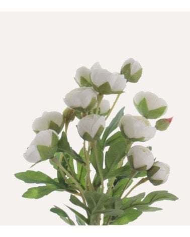 Ramo Decorativo Flores de Ranunculus de Plástico