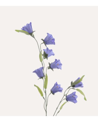 Rama Decorativa Campanula de Plástico