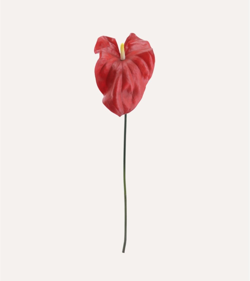 Rama Decorativa Anthurium Toque Realista de Plástico