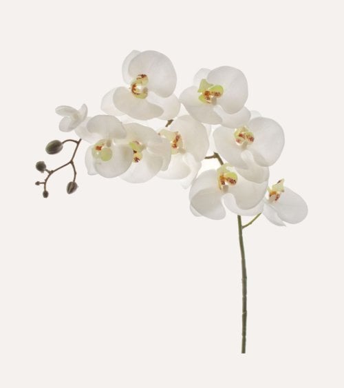 Flor Decorativa Phalenopsis Colgante de Plástico