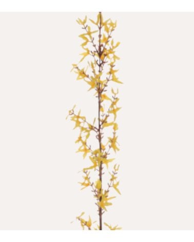 Rama Decorativa Forsythia de Plástico