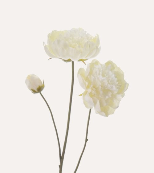 Rama Decorativa Flores de Peonia de Plástico