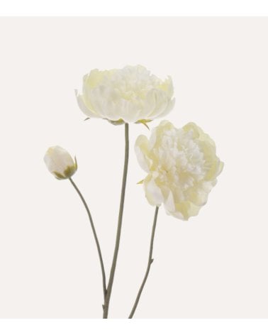 Rama Decorativa Flores de Peonia de Plástico