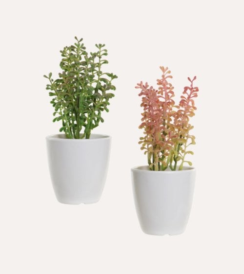 Planta Decorativa Suculenta Alta de Plástico y Melamina