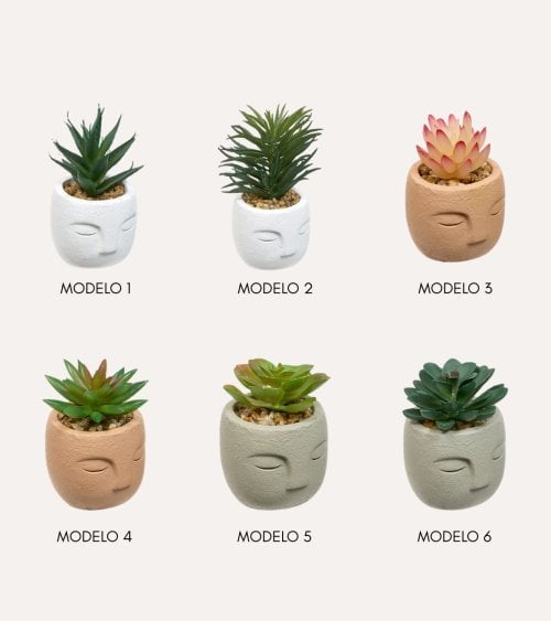 Planta Decorativa Terri en Maceta de Rostro