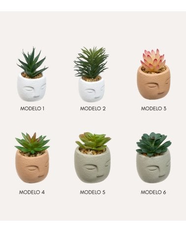 Planta Decorativa Terri en Maceta de Rostro