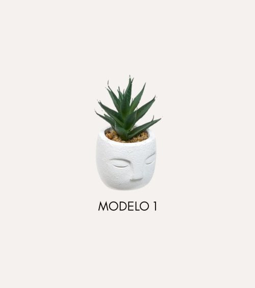 Planta Decorativa Terri en Maceta de Rostro