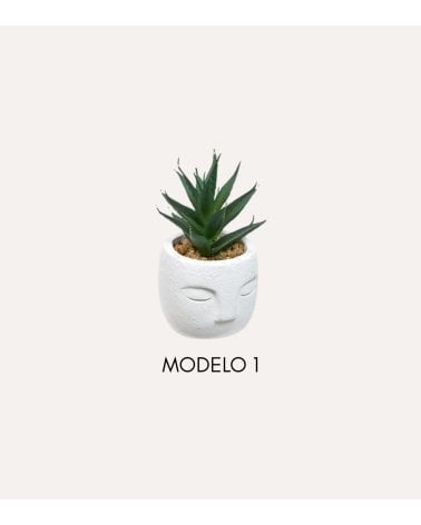 Planta Decorativa Terri en Maceta de Rostro