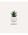 Planta Decorativa Terri en Maceta de Rostro