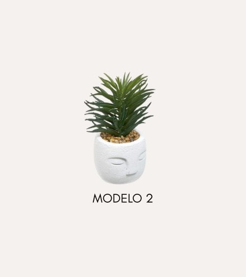 Planta Decorativa Terri en Maceta de Rostro