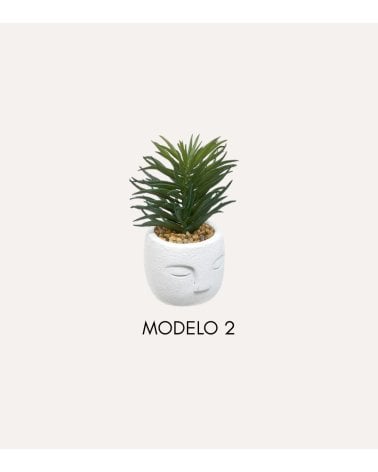 Planta Decorativa Terri en Maceta de Rostro