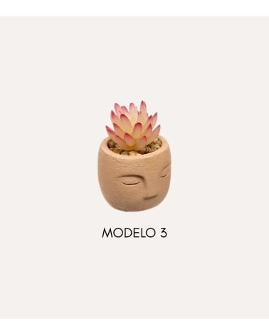 Planta Decorativa Terri en Maceta de Rostro