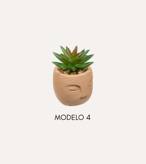 Planta Decorativa Terri en Maceta de Rostro