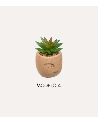 Planta Decorativa Terri en Maceta de Rostro