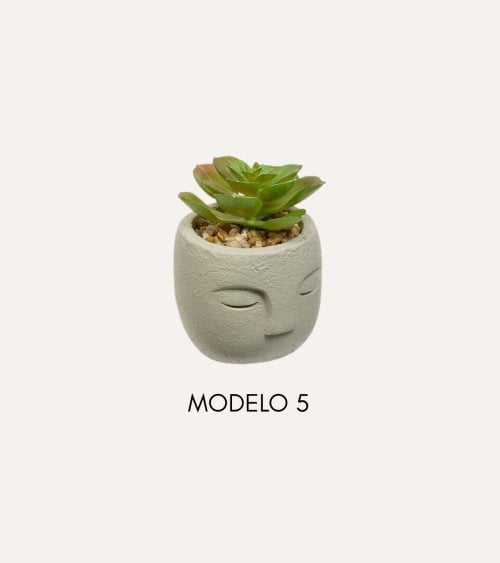 Planta Decorativa Terri en Maceta de Rostro