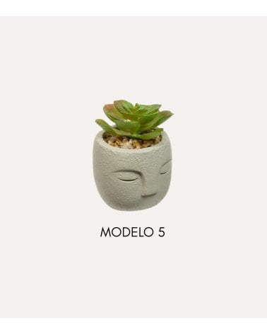 Planta Decorativa Terri en Maceta de Rostro