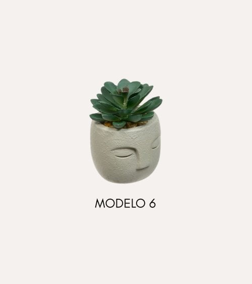 Planta Decorativa Terri en Maceta de Rostro