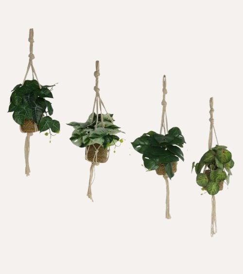 Planta Colgante Decorativa Alga de Plástico