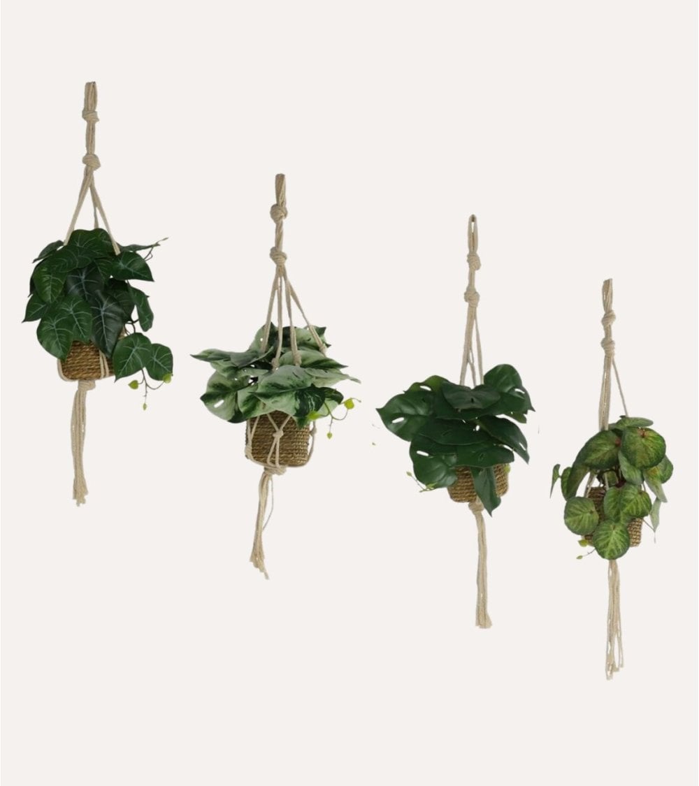 Planta Colgante Decorativa Alga de Plástico