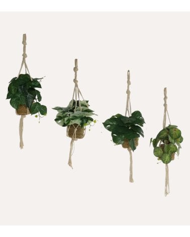 Planta Colgante Decorativa Alga de Plástico