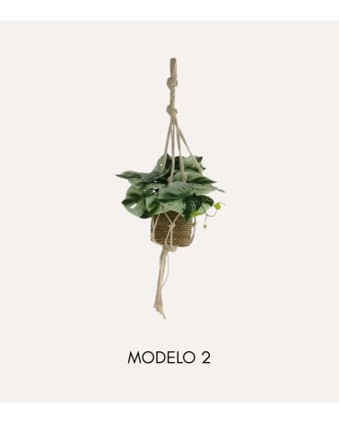 Planta Colgante Decorativa Alga de Plástico