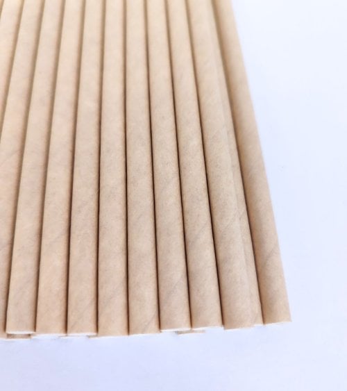 Pack 25 Cañas De Papel Biodegradables Honest Green-2