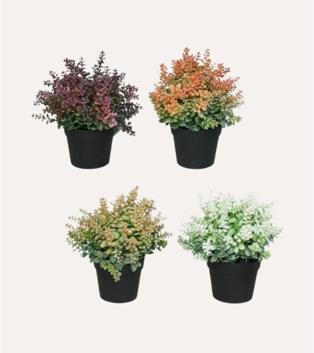 Planta Decorativa Mini Arbusto Sedum de Plástico