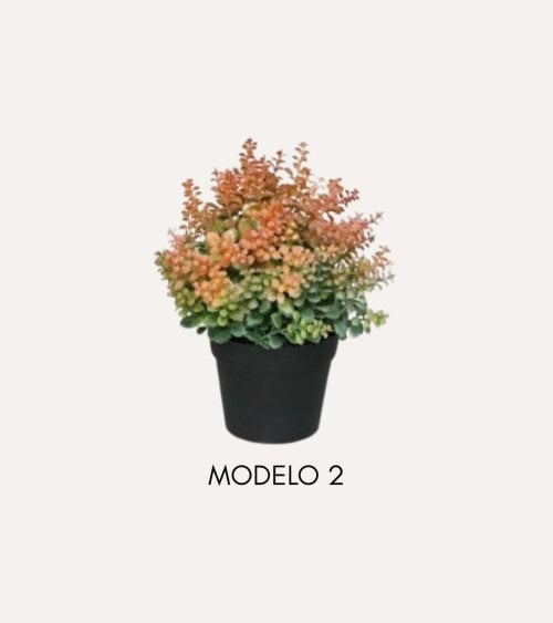 Planta Decorativa Mini Arbusto Sedum de Plástico