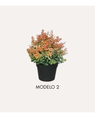 Planta Decorativa Mini Arbusto Sedum de Plástico