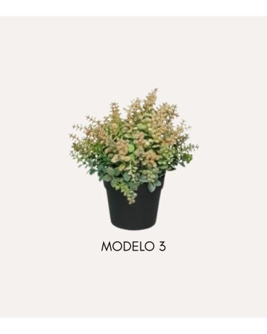 Planta Decorativa Mini Arbusto Sedum de Plástico